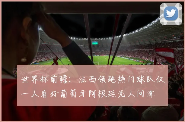 世界杯前瞻：法西领跑热门球队仅一人看好葡萄牙阿根廷无人问津